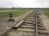 W drodze do pomnika w Birkenau.